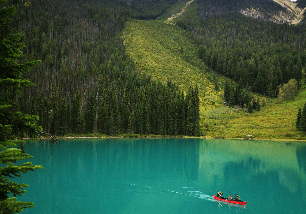 Lake Emerald canoë forêt parc de Yoho